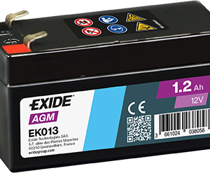 EXIDE Auxiliary Battery - EK013
